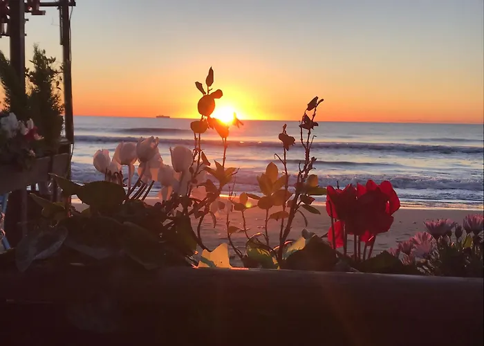 Lägenhet Rudys Vacation Z